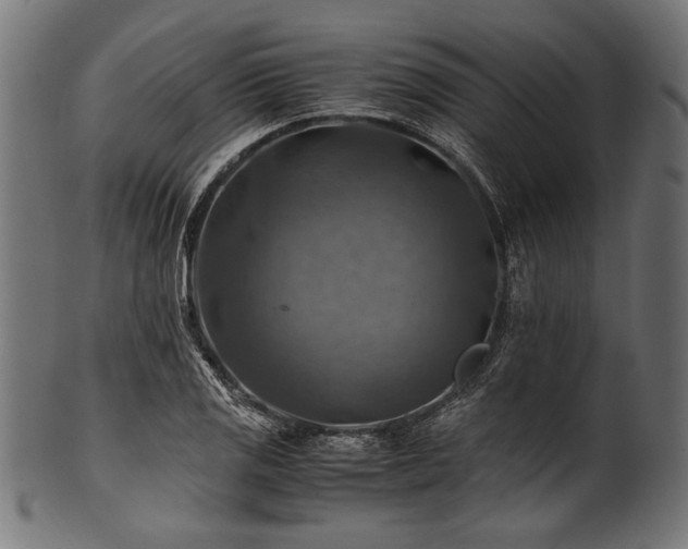 X0000100951125200806241457