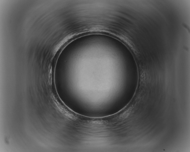 X0000100951126200806241457