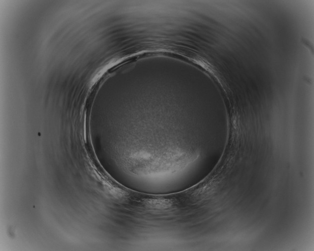 X0000100951127200806241457