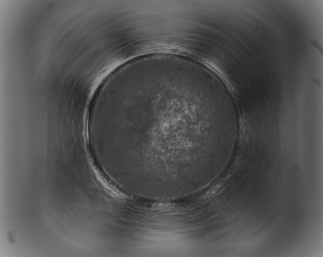 X0000100951128200806241457