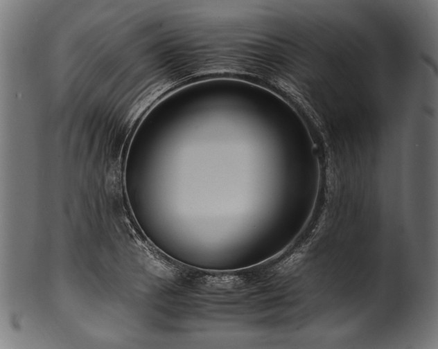 X0000100951129200806241457
