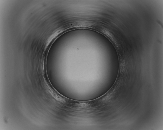 X0000100951130200806241457