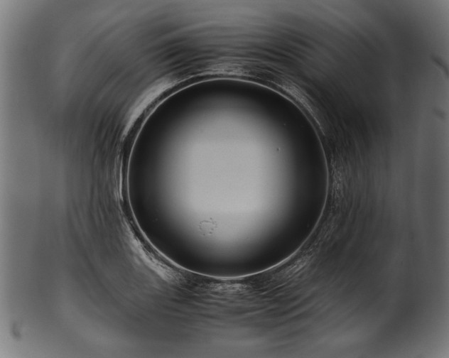 X0000100951131200806241457