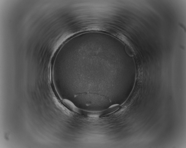 X0000100951132200806241457