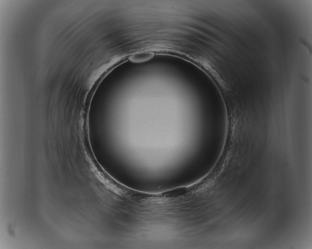 X0000100951134200806241457