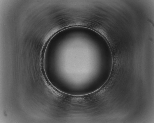 X0000100951135200806241457