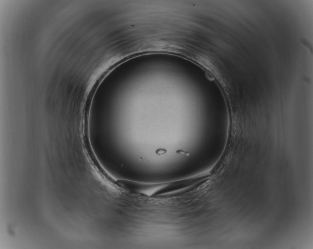 X0000100951136200806241457