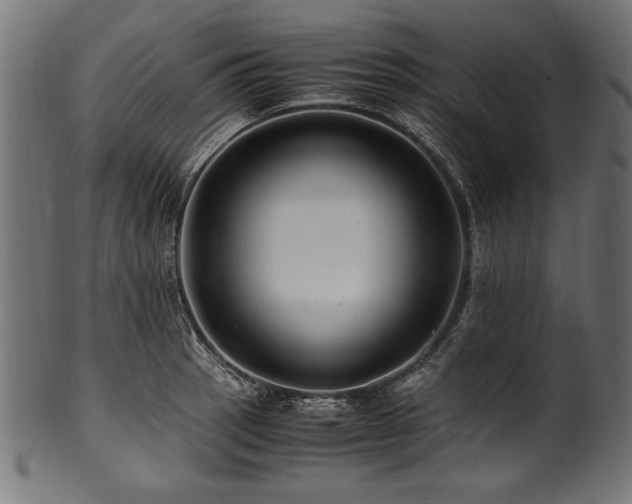 X0000100951137200806241457