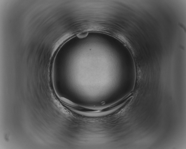 X0000100951138200806241457