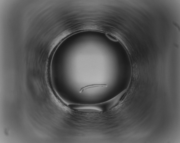 X0000100951139200806241457