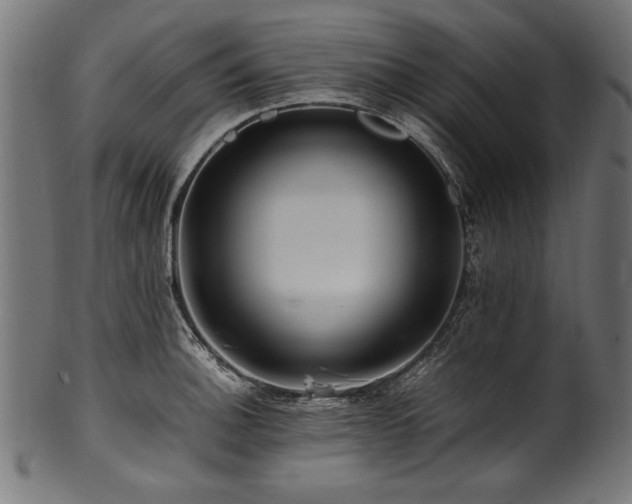 X0000100951140200806241457