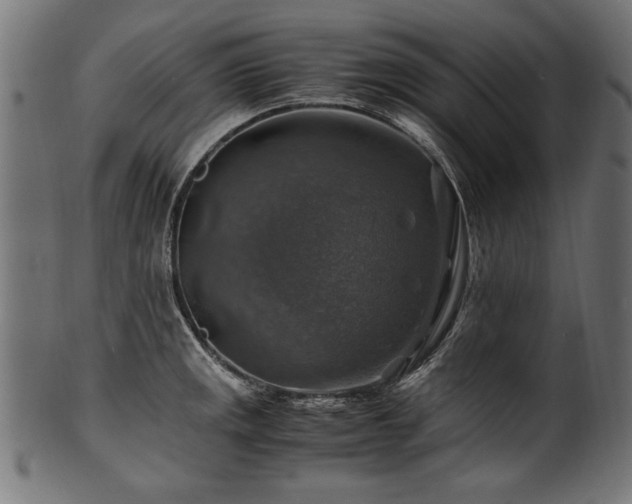 X0000100951141200806241457