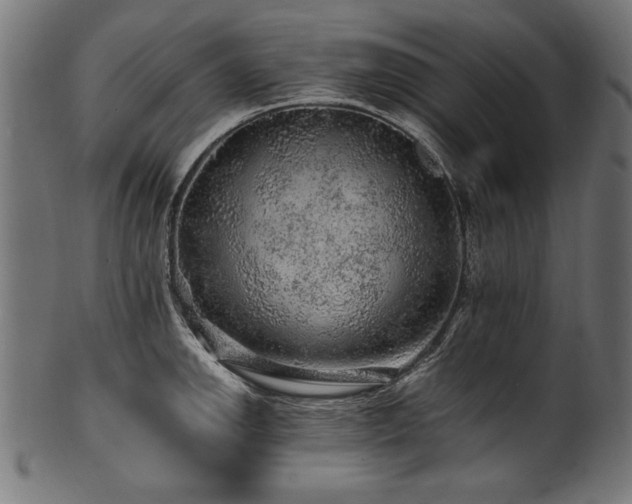 X0000100951142200806241457