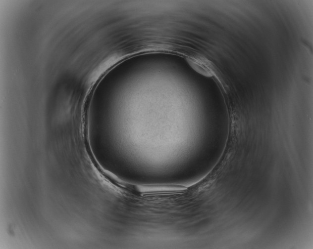 X0000100951143200806241457