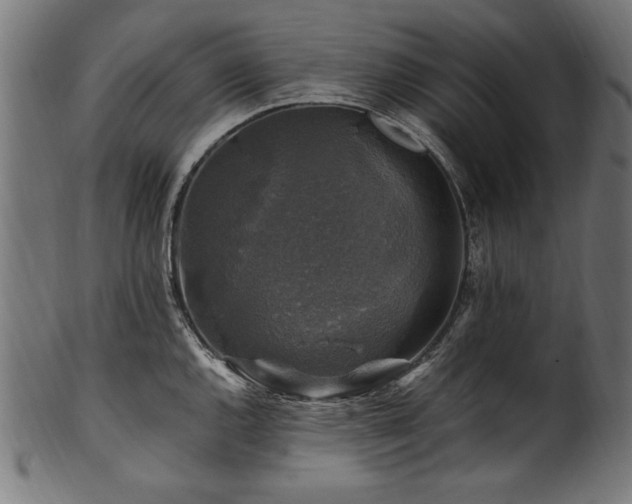 X0000100951144200806241457