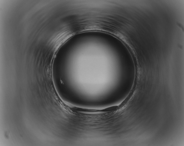X0000100951145200806241457