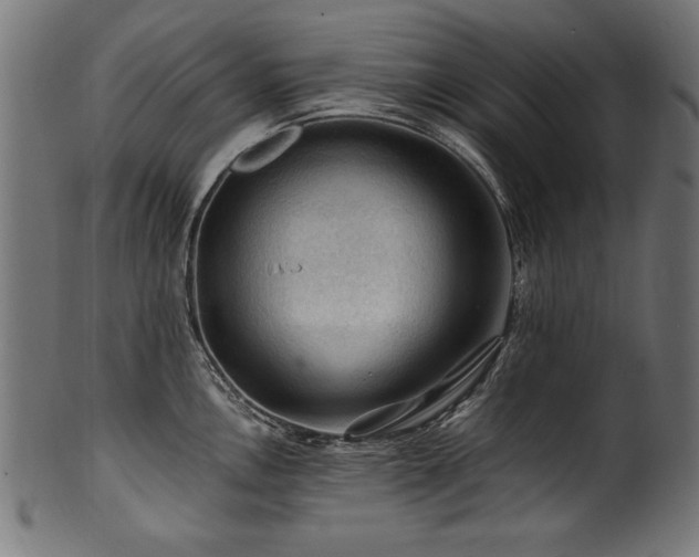 X0000100951146200806241457