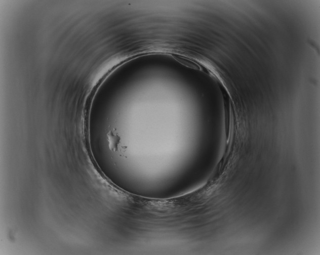 X0000100951147200806241457
