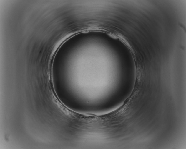 X0000100951148200806241457