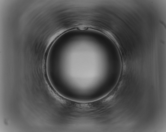 X0000100951149200806241457