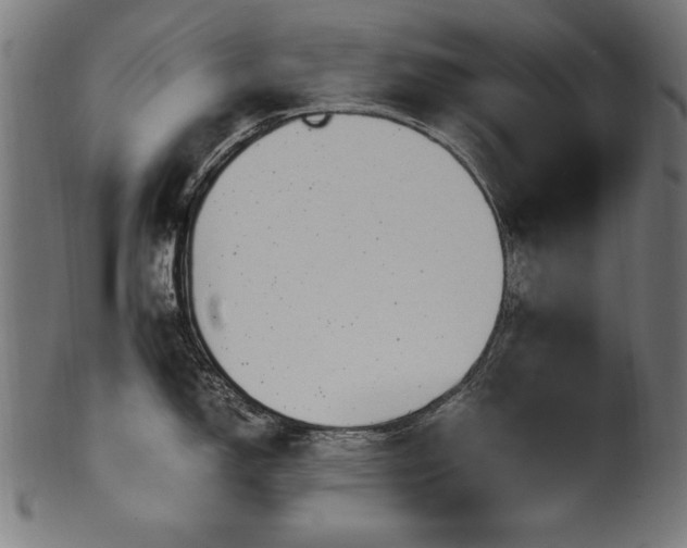 X0000100951150200806241457