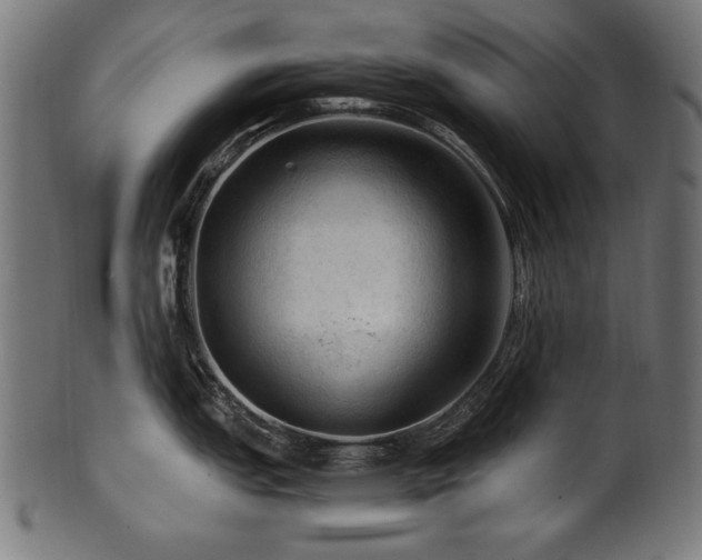 X0000100951151200806241457