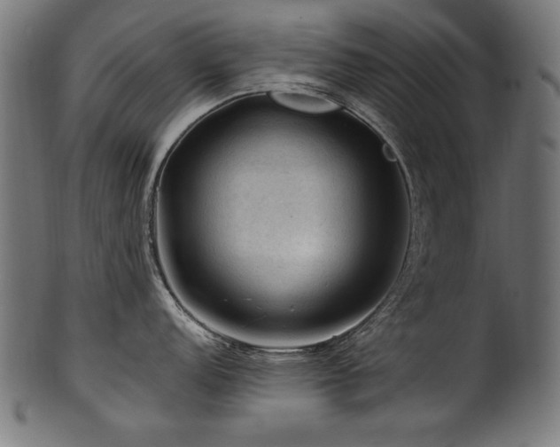 X0000100951152200806241457