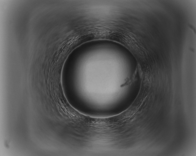X0000100951153200806241456