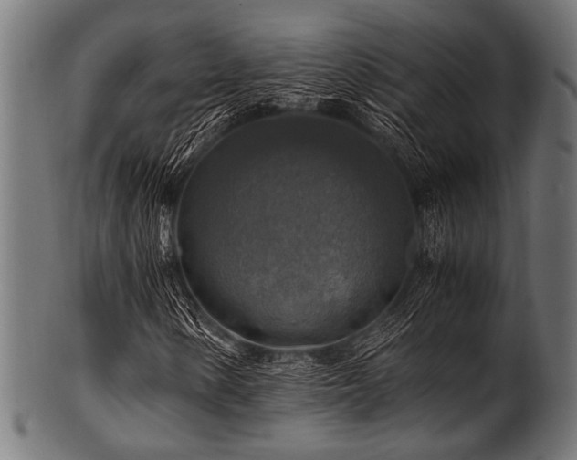 X0000100951154200806241456