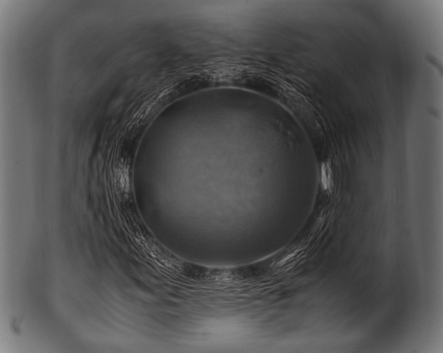 X0000100951155200806241456