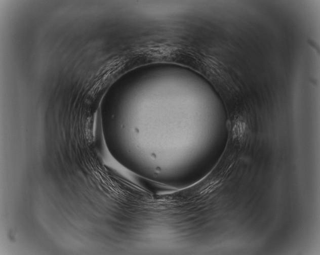 X0000100951156200806241456