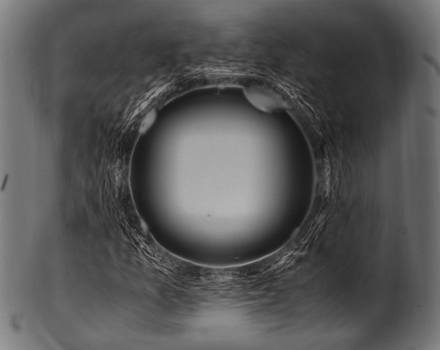 X0000100951157200806241456