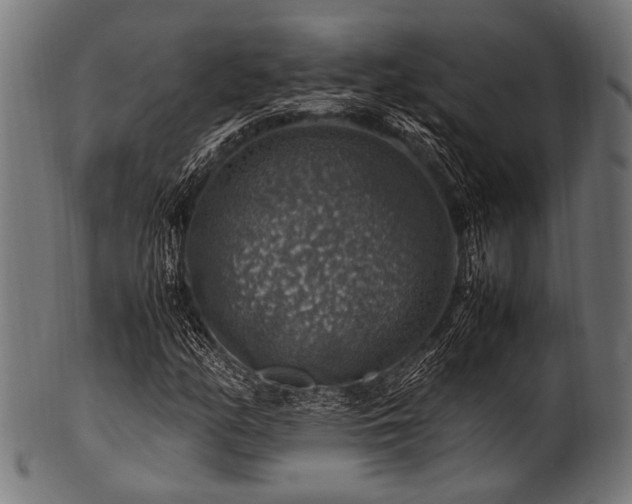 X0000100951158200806241456