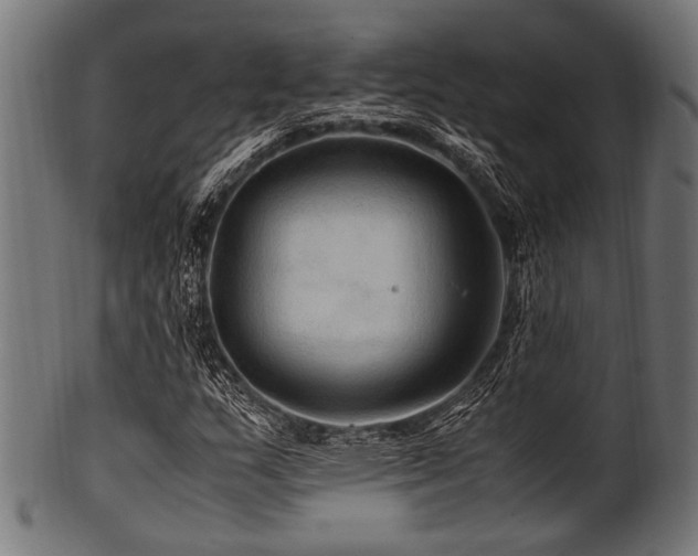 X0000100951159200806241456
