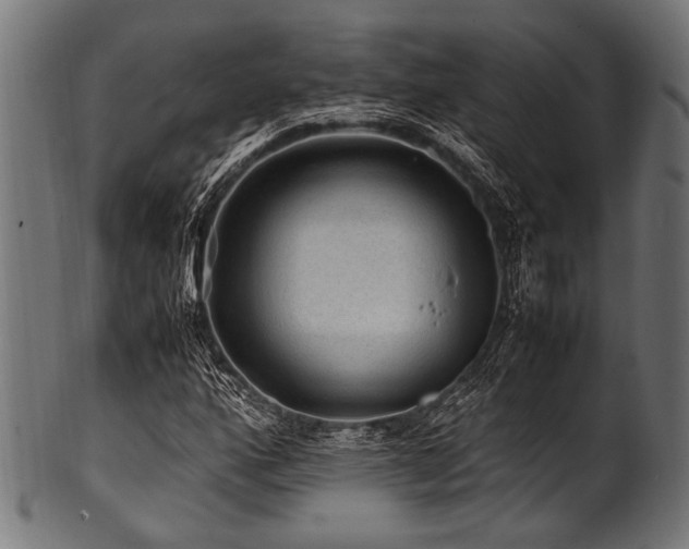 X0000100951160200806241456