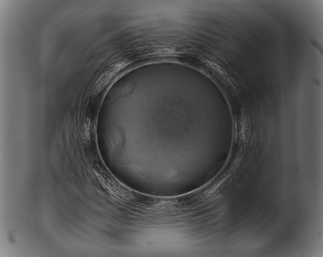X0000100951161200806241456