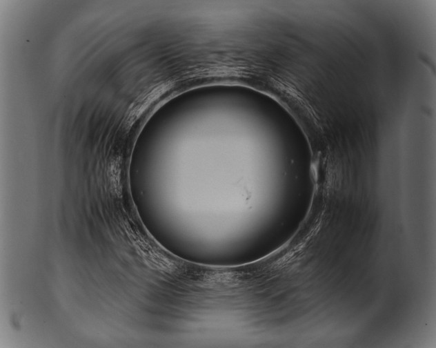X0000100951162200806241456