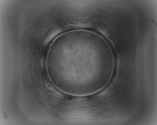 X0000100951163200806241456
