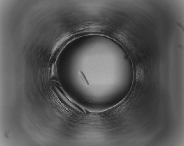 X0000100951164200806241456