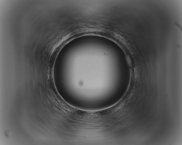 X0000100951165200806241456