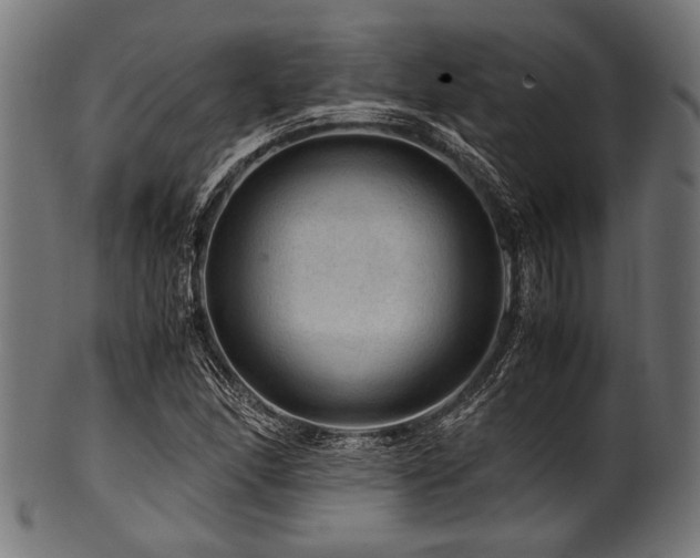 X0000100951166200806241456