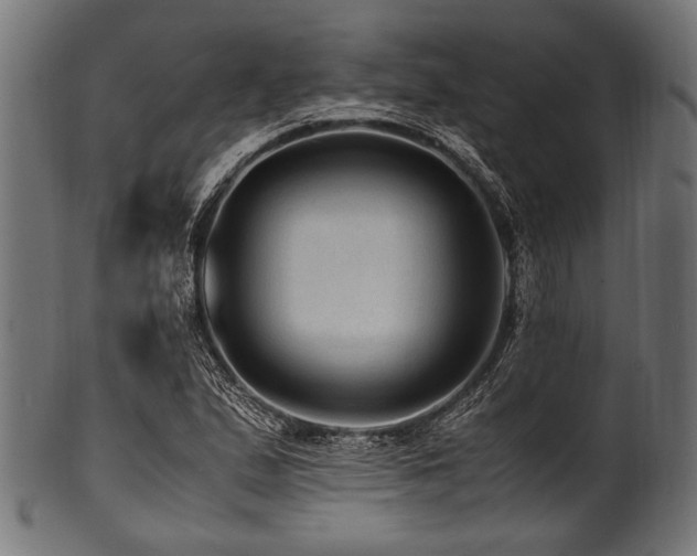 X0000100951167200806241456