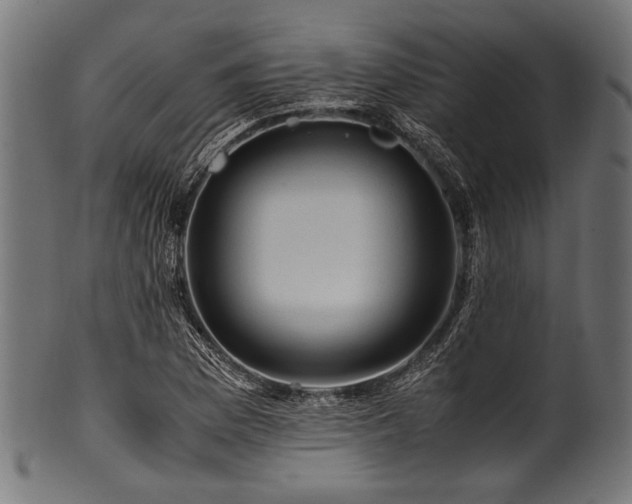 X0000100951169200806241456