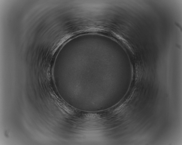 X0000100951170200806241456