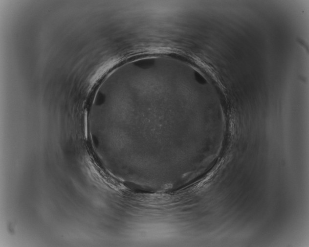 X0000100951171200806241456