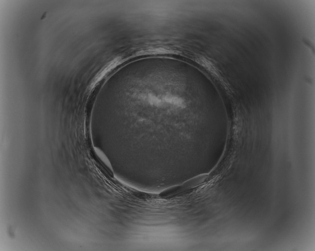 X0000100951173200806241456