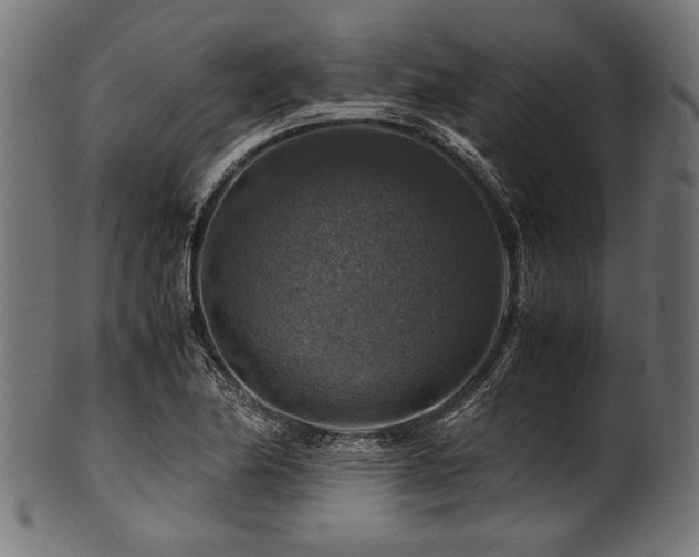 X0000100951174200806241456