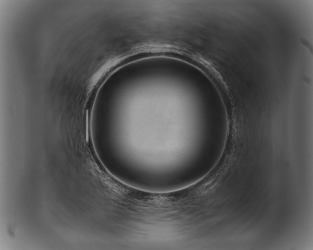 X0000100951175200806241456