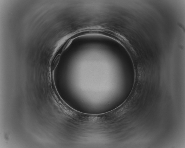 X0000100951176200806241456