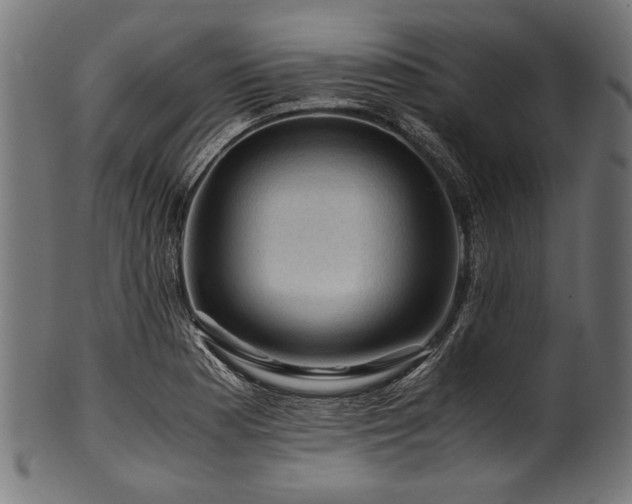 X0000100951177200806241456
